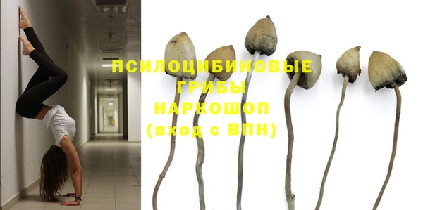 спайс Алзамай