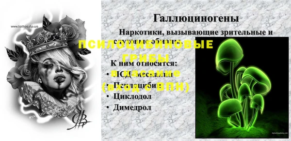 спайс Алзамай